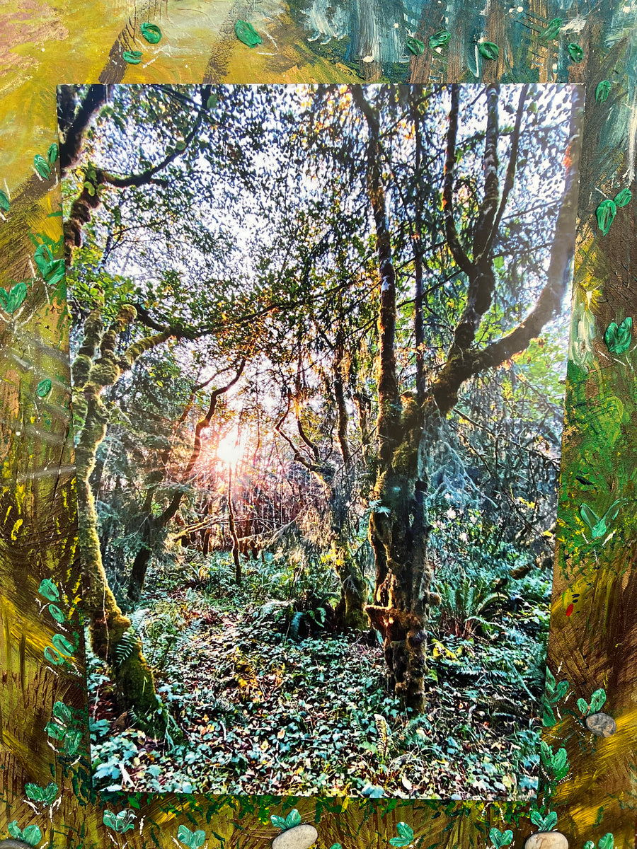 Fern Canyon